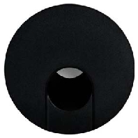 Ceiling-/wall luminaire 1x1,5W 10156083