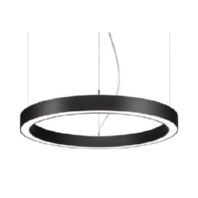 Pendant luminaire LED not exchangeable 13535183