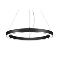 Pendant luminaire LED not exchangeable 13820174