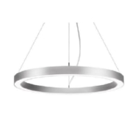 Pendant luminaire LED not exchangeable 13835163