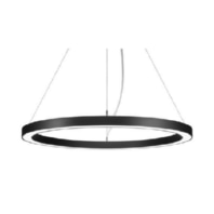 Pendant luminaire LED not exchangeable 13923183