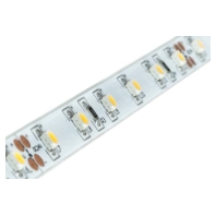 Light ribbon-/hose/-strip 24V white 15201005