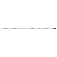 Light ribbon-/hose/-strip 24V white 19304127