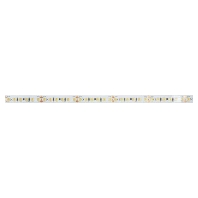 Light ribbon-/hose/-strip 24V white 19305003