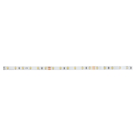 LED-Flexband 24V 4000K IP00 5m 38201004