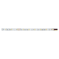 Light ribbon-/hose/-strip 24V RGBW 38204002