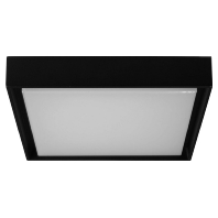 LED-Wandleuchte 3000K schwarz IP54 60108183