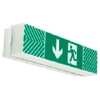 LED-Rettungszeichenleuchte mit Piktogramm, 3/8h 79130004