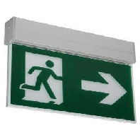LED-Rettungszeichenleuchte mit Piktogramm, 3/8h 79230264
