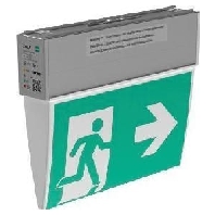 LED-Rettungszeichenleuchte mit Piktogramm, 3/8h 79231264