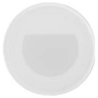 Ceiling-/wall luminaire 1x1,5W 10158073