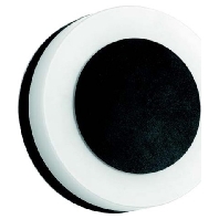 LED-Wandleuchte 230V IP54 schwarz 10030183