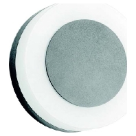 LED-Wandleuchte 230V IP54 silber 10030693