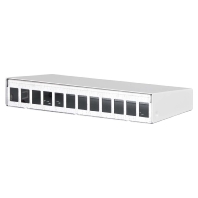 Keystone AP-Gehuse 12 Port rws RAL9010 130861-1202KE