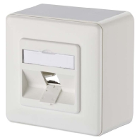 Anschlussdose leer AP 1x rws 43mm 130B10D10002-E