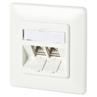 Anschlussdose C6Amodul UP 2Port 180 UP,rws 130B11D21002-E