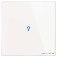 Bedienelement 1-fach TB/U1-CG