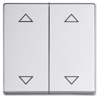 Cover plate for switch/push button 1785 JA/02-83