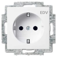 SCHUKO Steckdosen-Einsatz alpinwei 20 EUC/DV-914