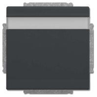 Socket outlet (receptacle) 20 EUKNB-81