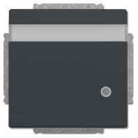 Socket outlet (receptacle) 20 EUKNBL-81