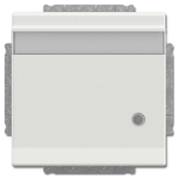 Socket outlet (receptacle) 20 EUKNBL-884