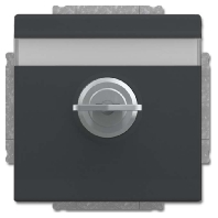 Socket outlet (receptacle) 20 EUKNBSL-81