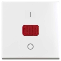 Cover plate for switch/push button white 2544-914