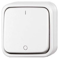 2-pole switch surface mounted 2601/2 AP/11W-503