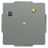 Socket outlet (receptacle) grey 3151 UC-803