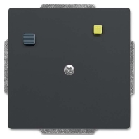 Socket outlet (receptacle) anthracite 3151 UC-81