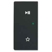 Touch rocker for home automation black 6237-21-885