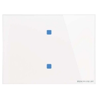 Touch sensor for home automation 2-fold TB/U2.8.11-CG