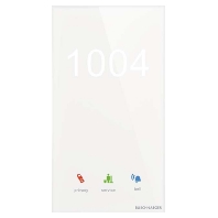 Raumaussensensor mit Raumnummer TSN/U.2.11-CG
