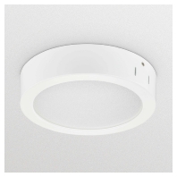 Downlight/spot/floodlight 1x18,9...23,1W DN145C LED 33954299