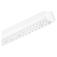 LED-Lichttrger ws 491 66S/830 PSD WB 4MX850 66693599