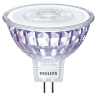 LED-Reflektorlampe MR16 4000K 36Gr. CoreProLED 81479600