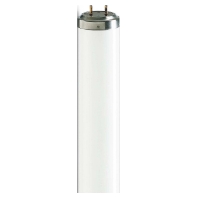 Leuchtstofflampe TL 40W/10 1SL/25 Actinic BL 26026000