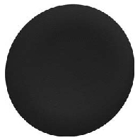 Lens for indicator light black ZBAF2