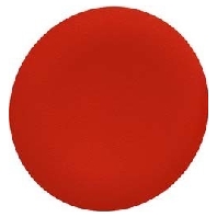 Lens for indicator light ZBAF4