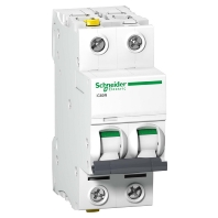 Miniature circuit breaker 2-p C6A A9F04206