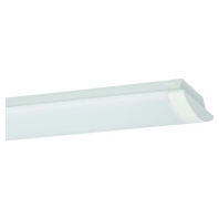 Wannenleuchte f. RIDI-Tube WL-R2X145/35ND-O