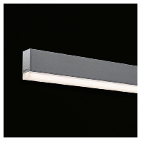 Ceiling-/wall luminaire S36-AD SPG0620125SI