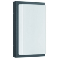 LED-Wandleuchte LB23 12W Edelstahl graphit 1200lm 3000K