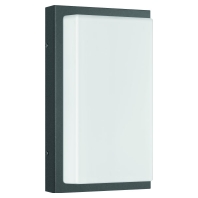 Wall light LB22 stainless steel graphite E27 max.75W, 058 - Promotional item