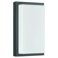 Wandleuchte LB22 Edelstahl graphit E27 max.75W, 058 - Aktionsartikel