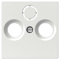 Central cover plate SAT WDE002445
