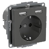 Socket outlet (receptacle) grey WDE003179