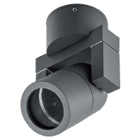 Deckenanbau-Spot GU10 IP54 anthrazit 635015