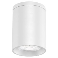 Downlight/spot/floodlight AL54100102